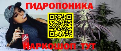 бошки Гусев