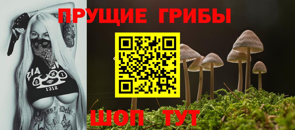 Псилоцибиновые грибы GOLDEN TEACHER  Псилоцибиновые грибы Psilocybine cubensis  Новоалександровск  Вход с VPN 